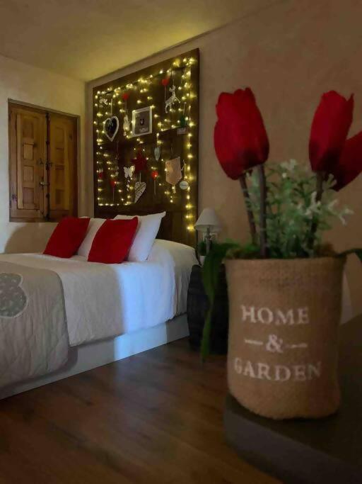 Luxury Danna Plaza Mayor Куенка Екстериор снимка